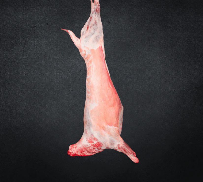 Agneau carcasse